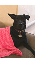 Fuchsia Bubble Plush Pet Blanket